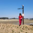 태안읍 행정복지센터 이미지