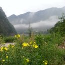 동강산장 이미지