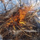 변산농장2 이미지