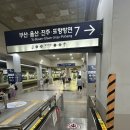 울산 | [울산] 태화강 피크닉 후기