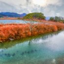 대교마트 이미지