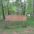 비래초교 이미지