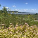 양사면-4 이미지