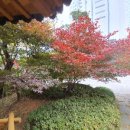 성북-돈암-2042 이미지