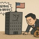 원리금 회수도 못하는 대미 투자 이미지