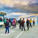 당목항 이미지