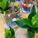 도심초등학교(병설) 이미지