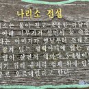 나리소와바리소 티스토리