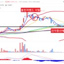 머니트리컴퍼니