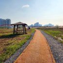 코스모스작은도서관 이미지