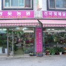 순광플라워