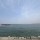 남서울행정사사무소 이미지