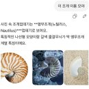 펜타메이드 | ep.253 오 늘 지 금 바 로 여 기 이 멋 진 우 주 한 복 판 에 서