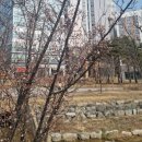 빽다방수원금곡칠보점 - 36529 | 빽다방수원금곡칠보점