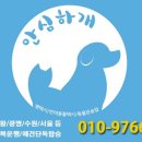 몽띠끄펫 이미지