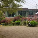 충남농원염소 이미지