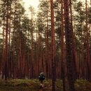 웰빙나라 이미지