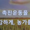 황미미인