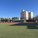 대해초등학교 이미지