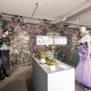 디오스테이2 이미지