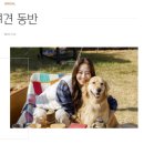 별그리고남해