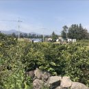 신례보건진료소 이미지