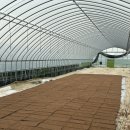 예당24시사우나 이미지