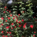 심당구장 | May_2