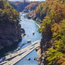 철원오대기사식당 이미지