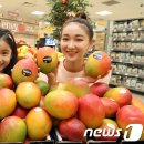 최명환농장 이미지