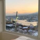 내게와 묵호 이미지