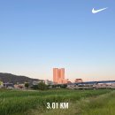6월 | Run Devil Run