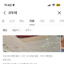 코두레 이미지