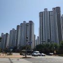 롯데캐슬,휴먼시아 사이 횡단보도 | 교하에서 운정1동까지 3.6km 두 발로 걸으며대장 vs 가성비 아파트 다 봤다