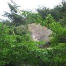 청구약수터 이미지