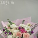 오투 플라워 이미지
