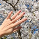 소담동_새샘907동앞 | 세종 소담동 네일 봄에 딱 좋은 영롱한 자석네일