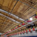 정화축사 이미지