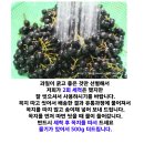 청정건강몰