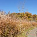 서호공원 이미지