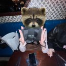 엠브이피 | 2026.02