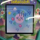 판치 | [파다육아] 제이드 포레스트 4편 스파로치의 탄생 - 다마고치 파라다이스 육아일기