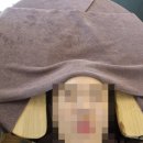 에비뉴헤어 | 두류동헤어스파 302에비뉴광장점 후기