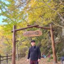청학소형자동차 | 청송 주왕산 등산코스 , 주봉코스