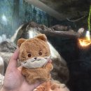 다림전자 | 그리고 갑차기스러운데 수학여행 취소해도 돼?