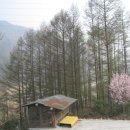 평창강펜션2 이미지