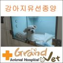 그랜드벳동물병원 이미지