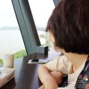 나나캣(nanacat) 티스토리