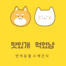 맛있개 먹었냥 네이버블로그