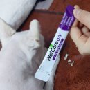 V-3 | 강아지눈영양제 웰케어 O/V 3일 급여 후기, 눈물자국 관리 시작했어요